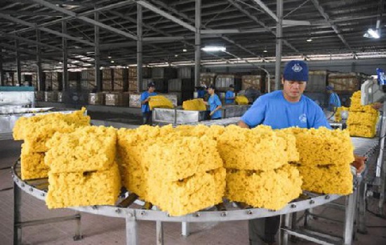 Trung Quốc nhập khẩu mạnh cao su từ Việt Nam